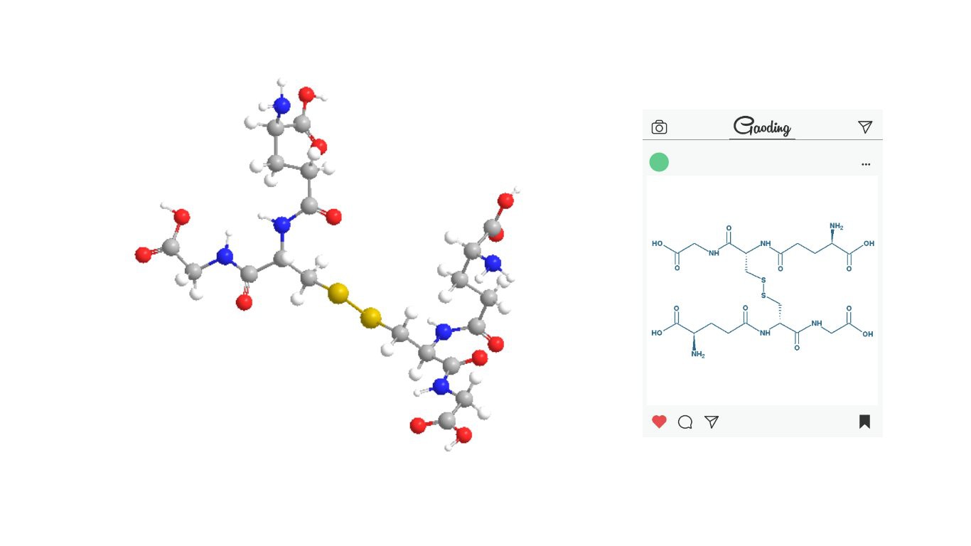 GSSG (1)