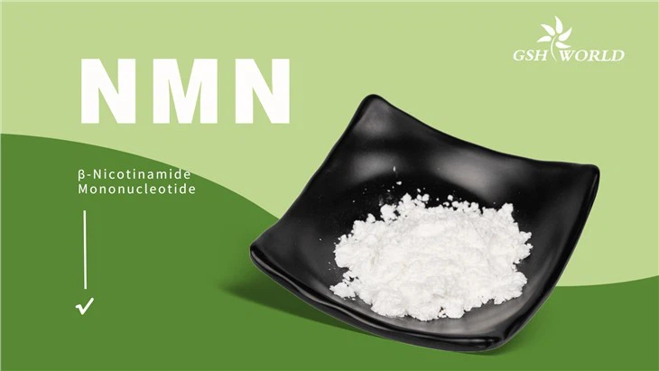 Bulk Powder Nicotinamide Mononucleotide suppliers & manufacturers in China