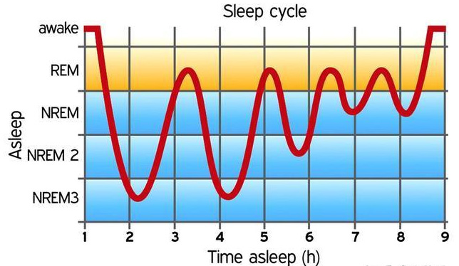 What happens to insomnia patients after taking NMN?