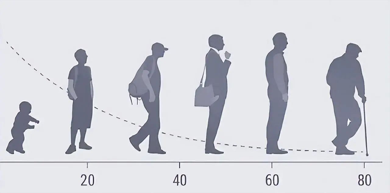 NMN can play a role in aging at three ages