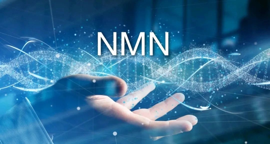 Difference between β-NMN and α-NMN