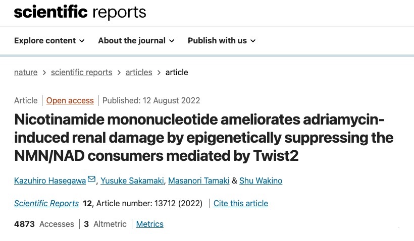 NMN improves renal function and replenishes the overdrawn kidney