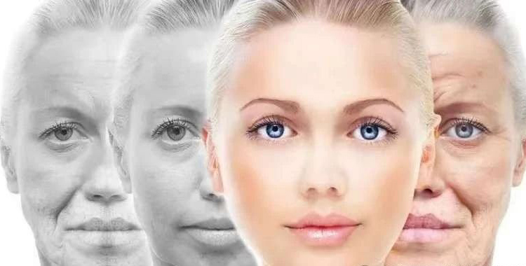 Why is NMN the first choice for anti-aging?