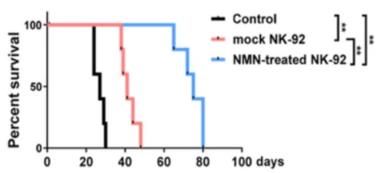 NMN May Improve The Body's Ability To Suppress Tumors And Prolong Life