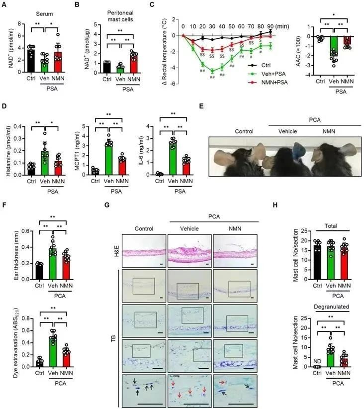 NMN inhibits IGE-mediated allergic reactions