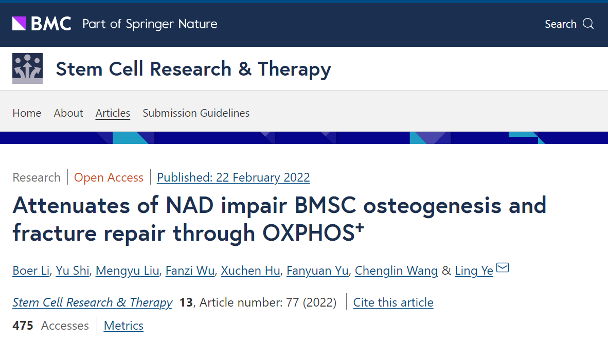 Attenuates of NAD impair BMSC osteogenesis andfracture repair through OXPHOS