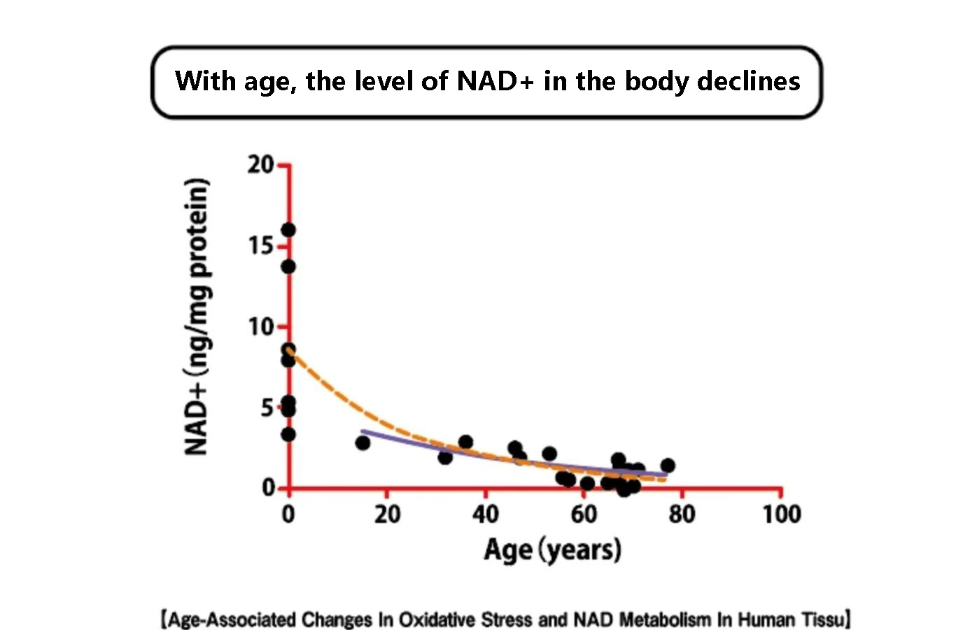 With age, the level of NAD+ in the body declines