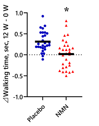 (Morifuji et al., 2024 |GeroScience's NMN prevents a decline in walking speed.) The placebo group (blue) showed an increase in the time it took to walk 4 meters after 12 weeks, while the NMN group (red) showed no change.