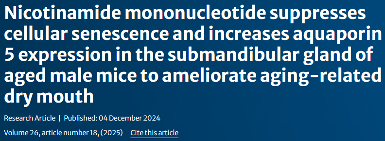 Nicotinamide mononucleotide suppresses cellular senescence and increases aquaporin 5 expression in the submandibular gland of aged male mice to ameliorate aging-related dry mouth