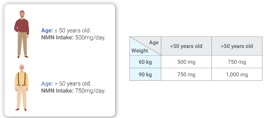 Dosage: How many NMN tablets a day to supplement the daily requirement?