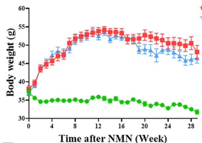 The curve of weight change of mice over time. The weight of mice in HFD group increased with time, while the weight of mice in HFD + NMN group decreased significantly after 4 months of NMN intervention, which was in sharp contrast to that in HFD group (P < 0.01), intuitively indicating that NMN can inhibit HFD-induced weight gain in mice.