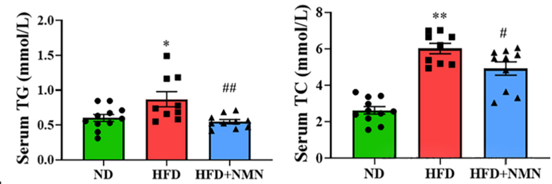 NMN administration significantly improved serum levels of triglyceride (TG), total cholesterol (TC), and low density lipoprotein cholesterol (LDL cholesterol).